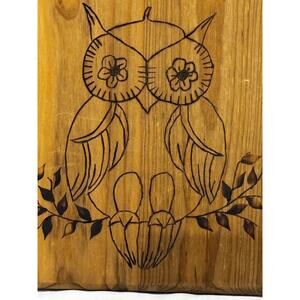 Vintage Owl Wood Wall Plaque Art‎ handmade wood burn unique